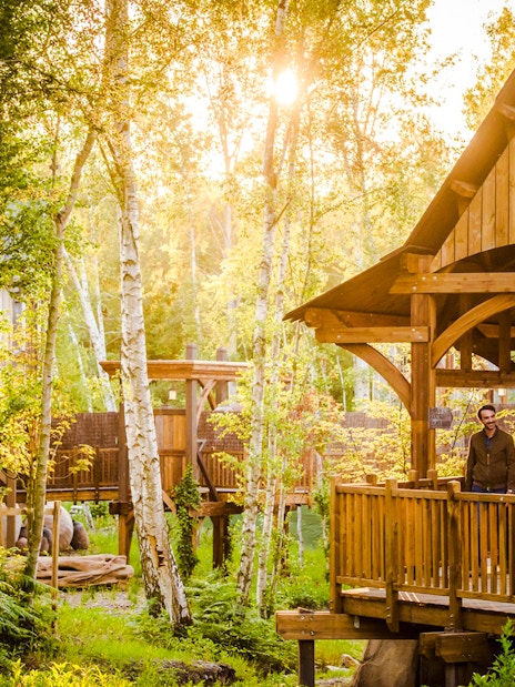 Visitors on a wooden bridge surrounded by trees at Asterix Park.