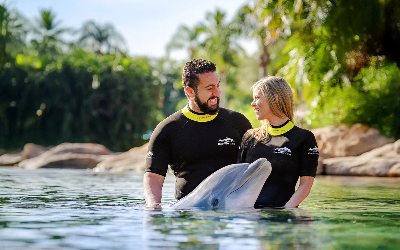 Visitors interacting with a dolphin at Discovery Cove Orlando.
