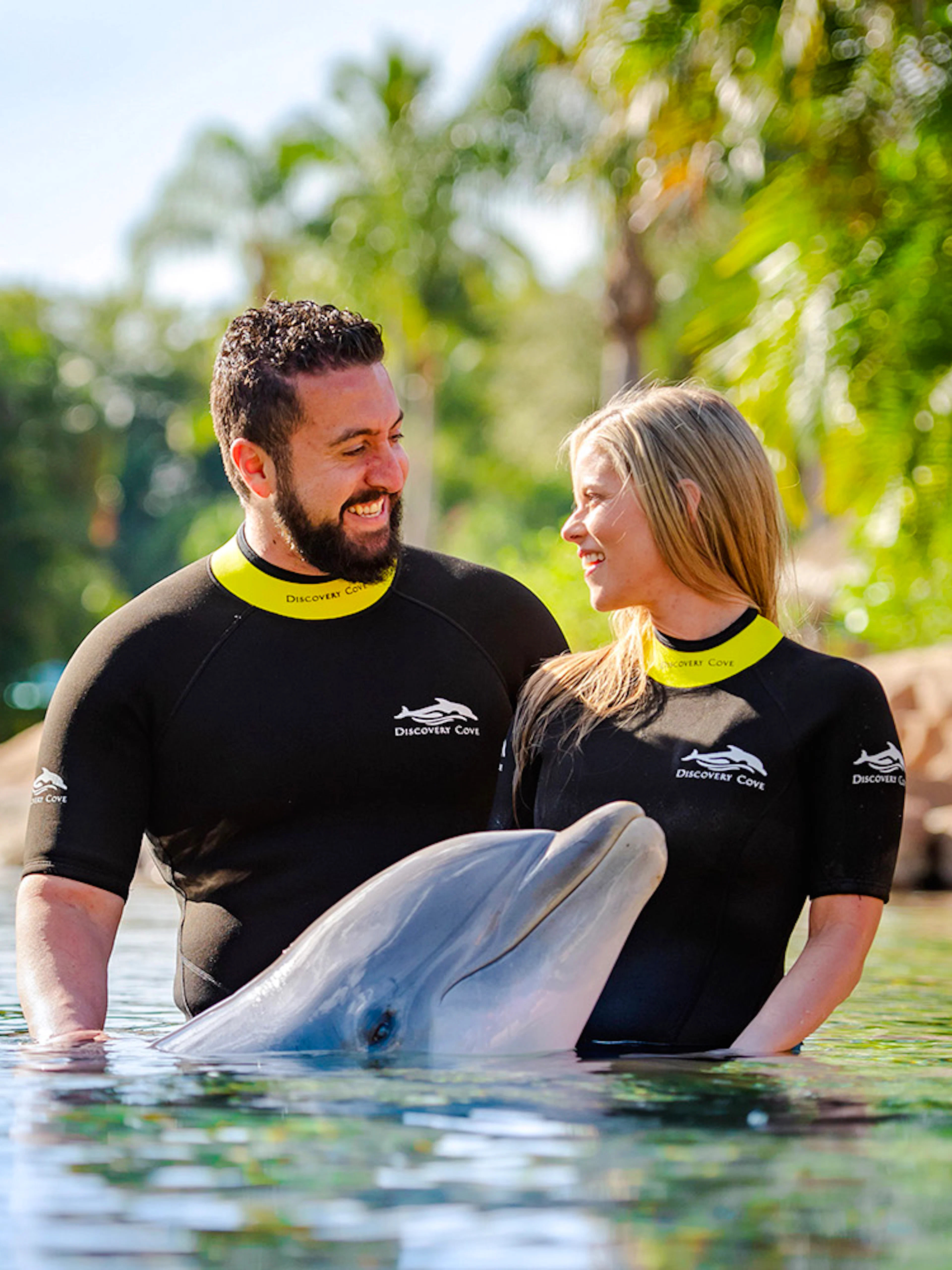 Visitors interacting with a dolphin at Discovery Cove Orlando.
