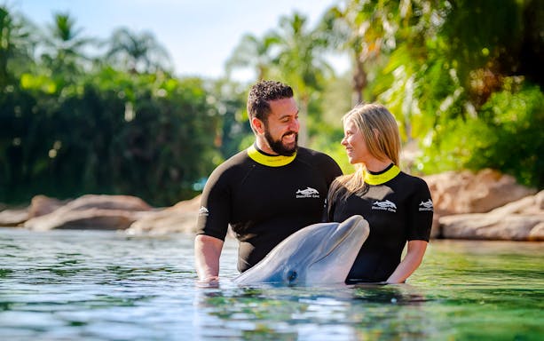 Visitors interacting with a dolphin at Discovery Cove Orlando.