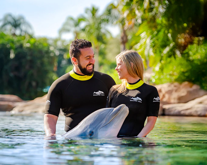 Discovery Cove Dolphin Swim Tickets