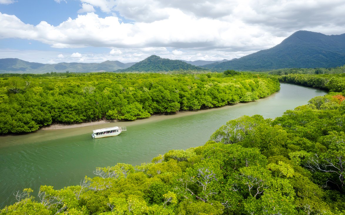 Riverboat cruising through lush greenery on the Daintree River, Australia.