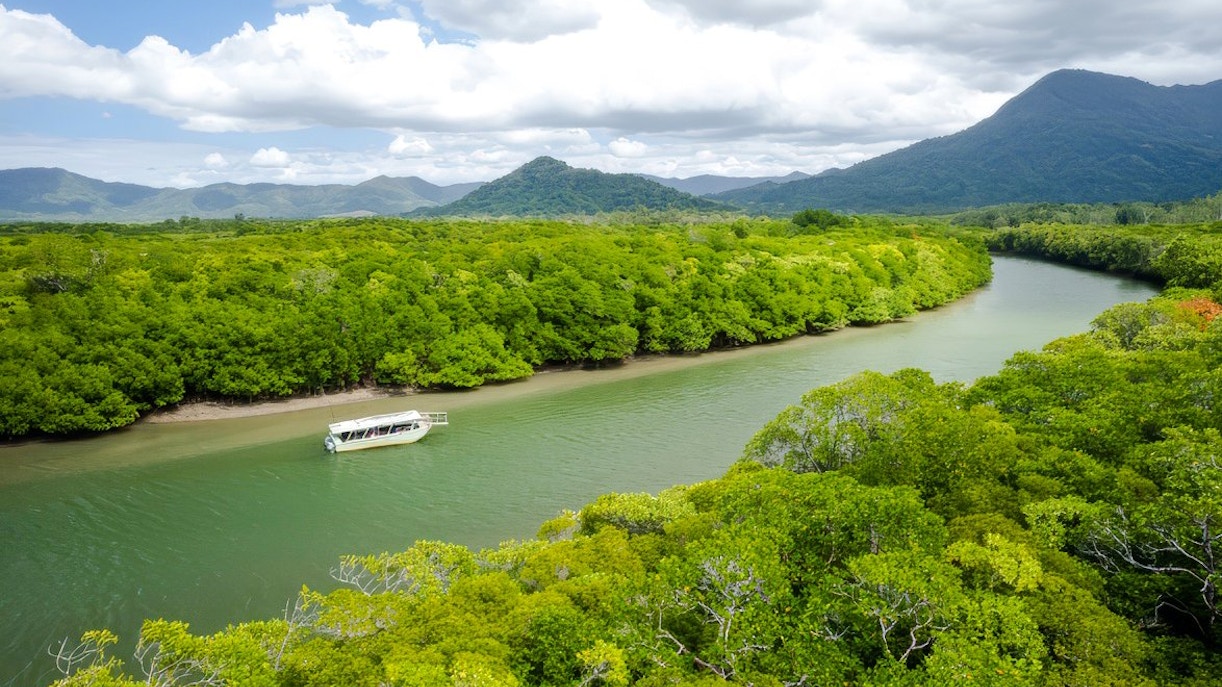 Riverboat cruising through lush greenery on the Daintree River, Australia.