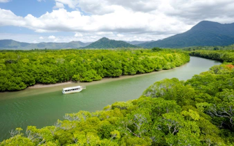 Riverboat cruising through lush greenery on the Daintree River, Australia.