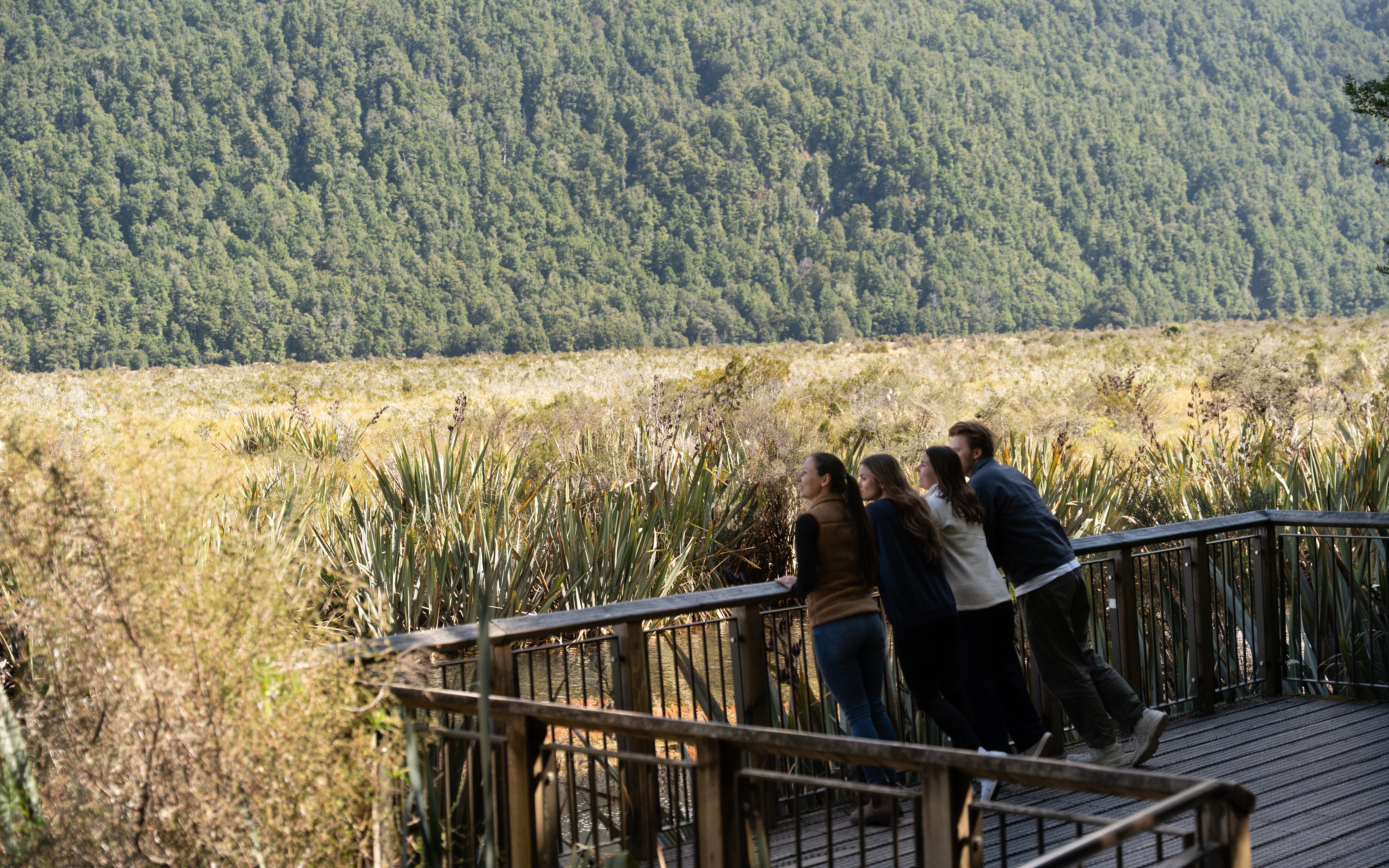 Visitors enjoying the view from a boardwalk in Milford Sound, surrounded by lush greenery.