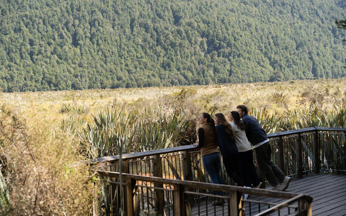 Visitors enjoying the view from a boardwalk in Milford Sound, surrounded by lush greenery.