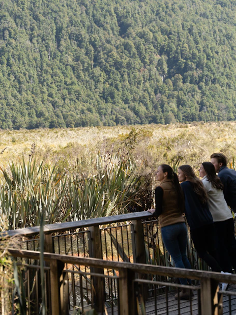 Visitors enjoying the view from a boardwalk in Milford Sound, surrounded by lush greenery.