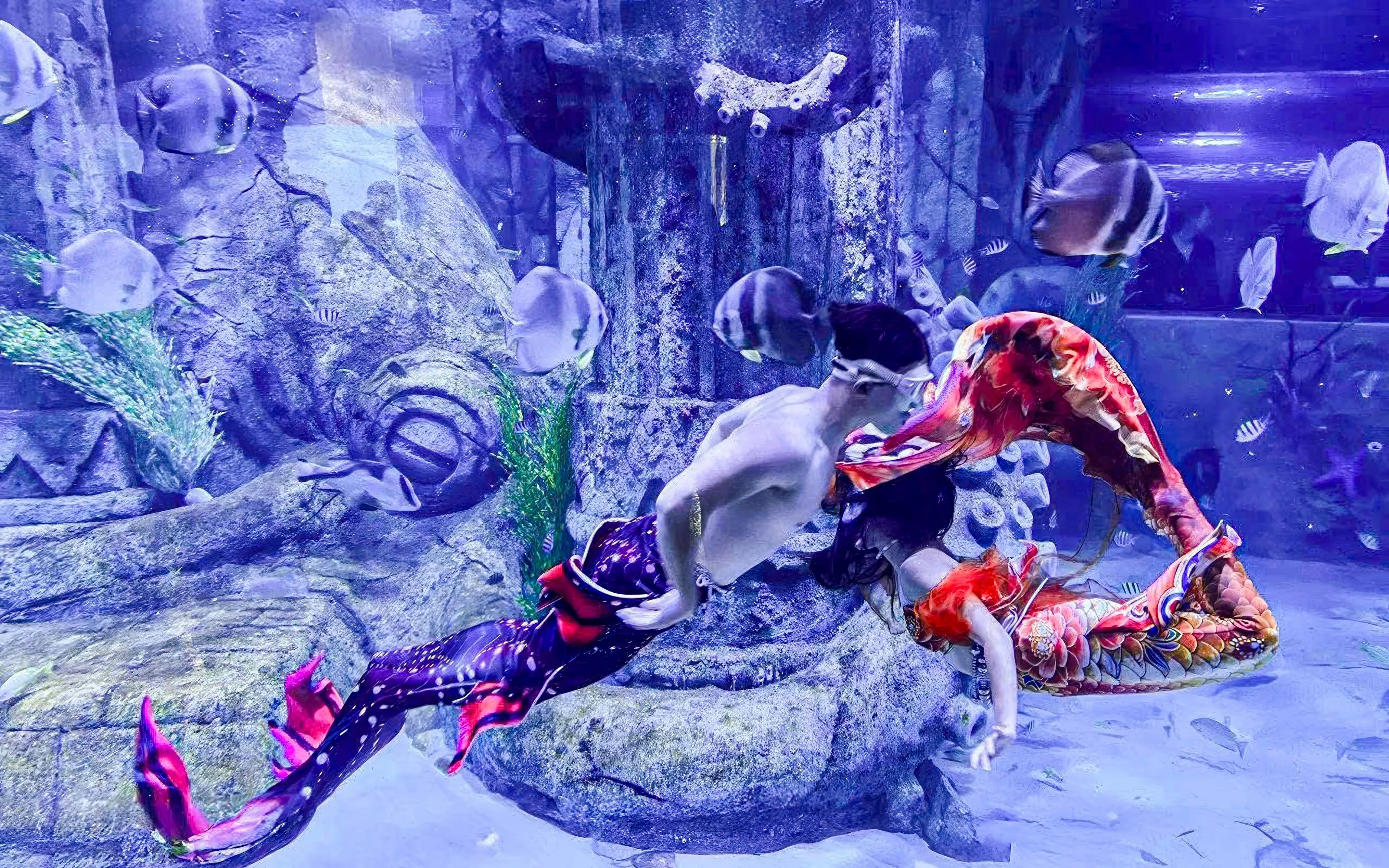 Mermaids performing underwater at Vinwonders Phu Quoc Theme Park.