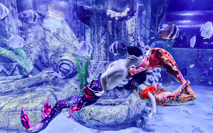 Mermaids performing underwater at Vinwonders Phu Quoc Theme Park.