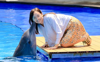 Person interacting with a dolphin at a marine attraction.
