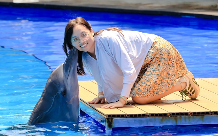 Person interacting with a dolphin at a marine attraction.