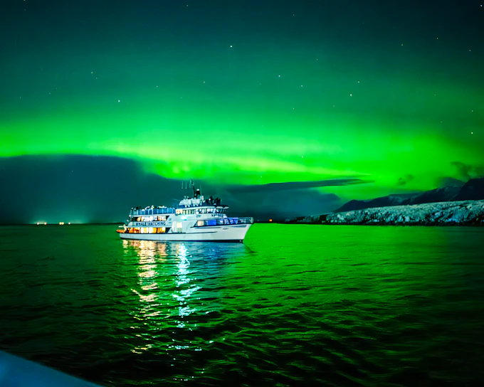 From Reykjavik: Northern Lights Sightseeing Cruise