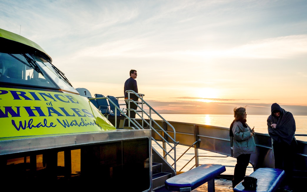 Group on Prince of Whales boat during sunset whale watching tour.