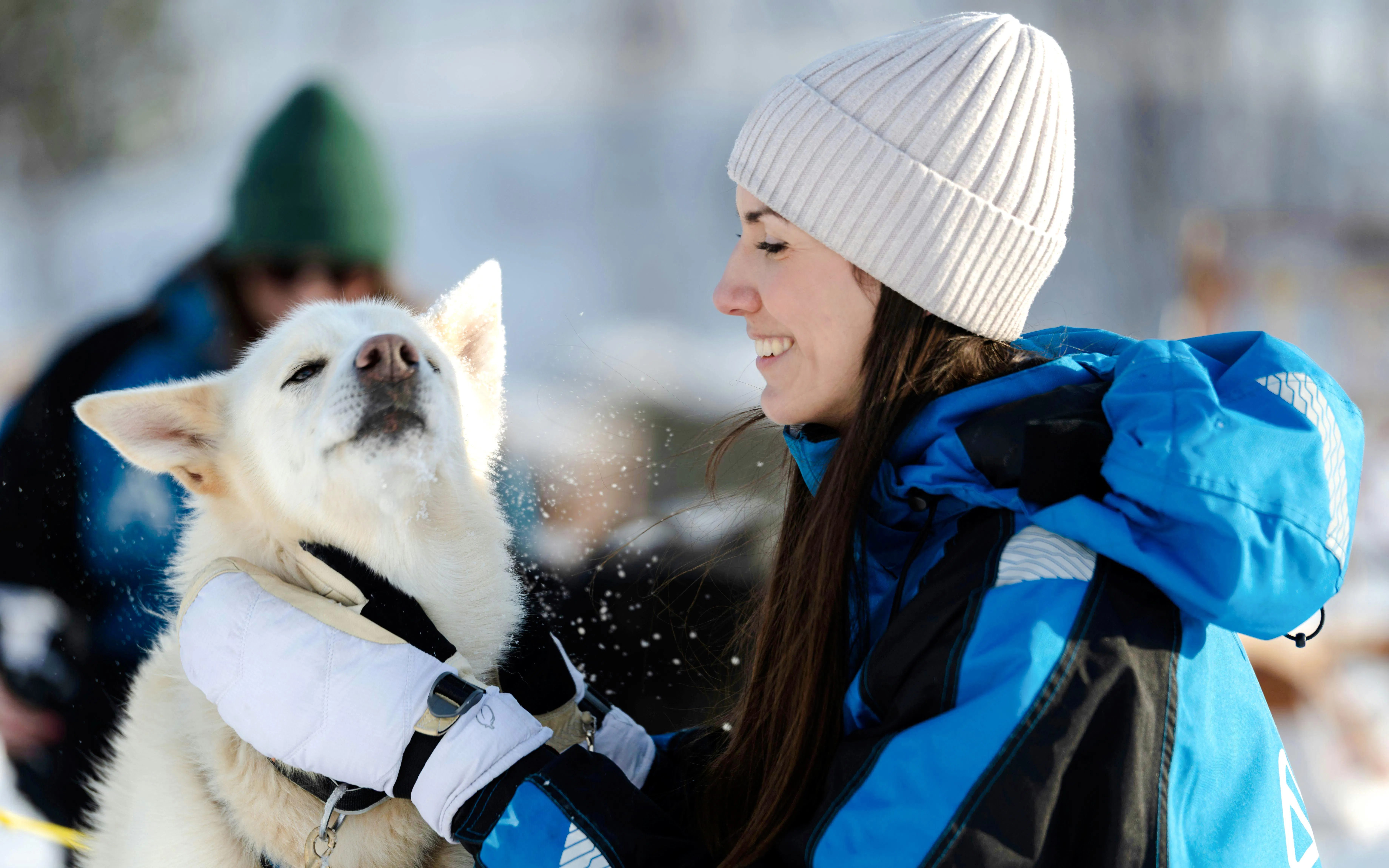 Guests interacting with a sled dog during a kennel visit in Tromso.
