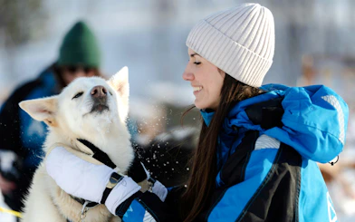 Guests interacting with a sled dog during a kennel visit in Tromso.