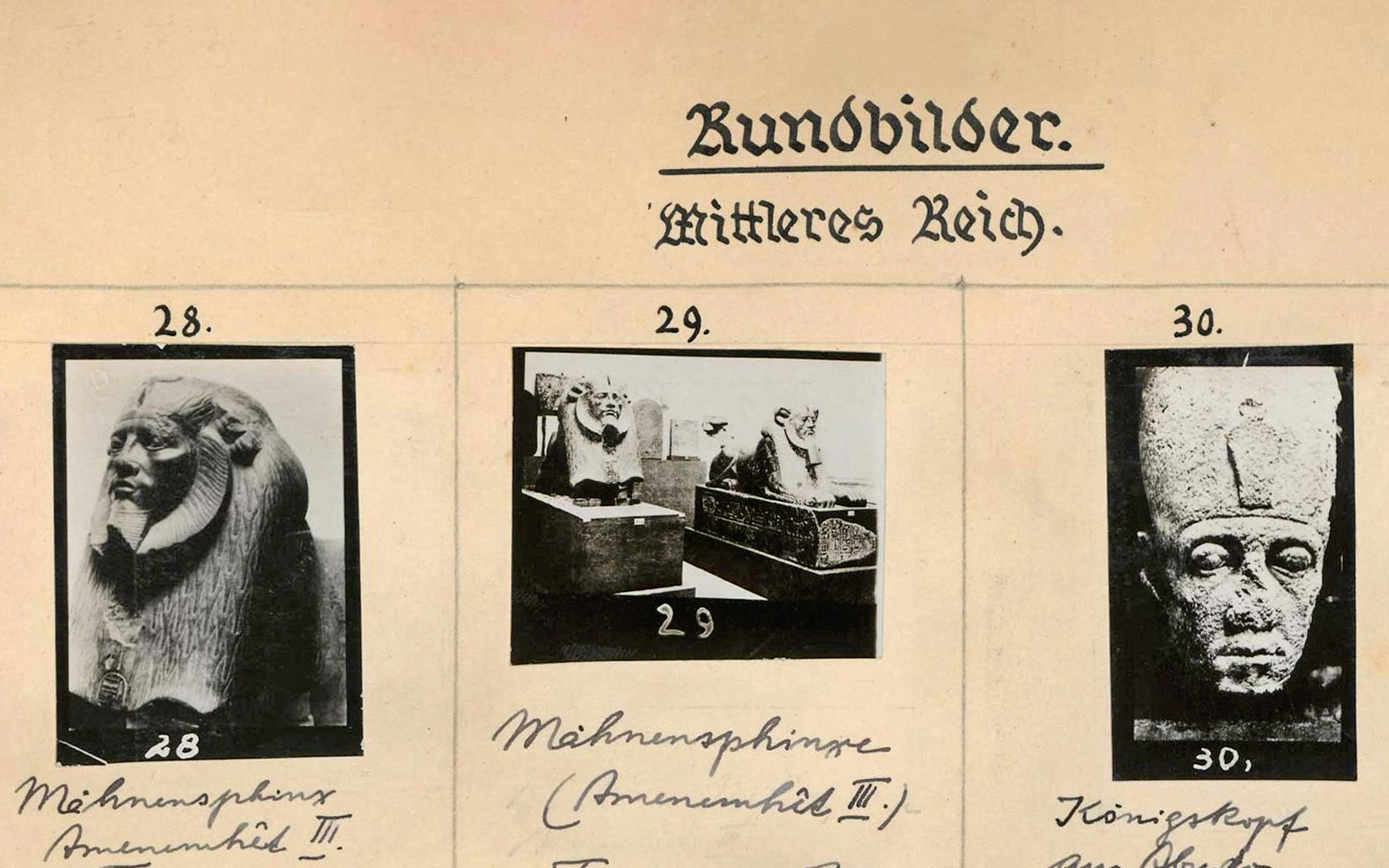 Explore diverse collections