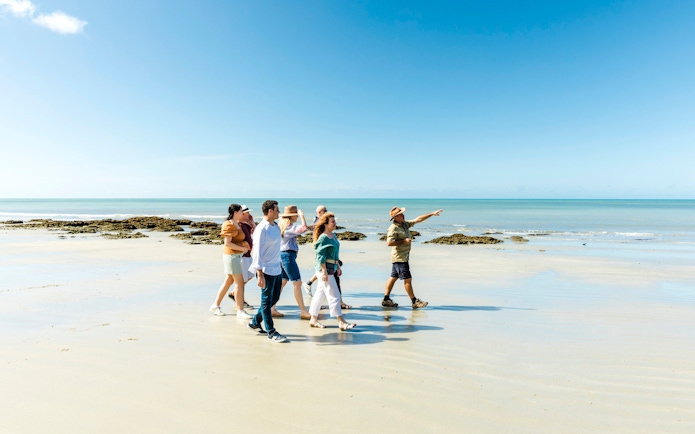 Group walking on Cape Tribulation beach with guide, Billy Tea Safaris tour.