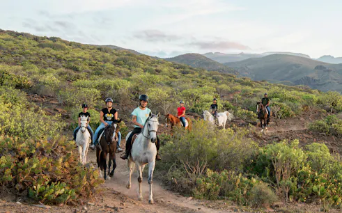 Horseback riders on a volcanic trail in Gran Canaria's lush landscape.