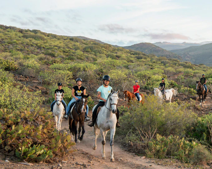 Gran Canaria: Volcanic Trail Horse Riding