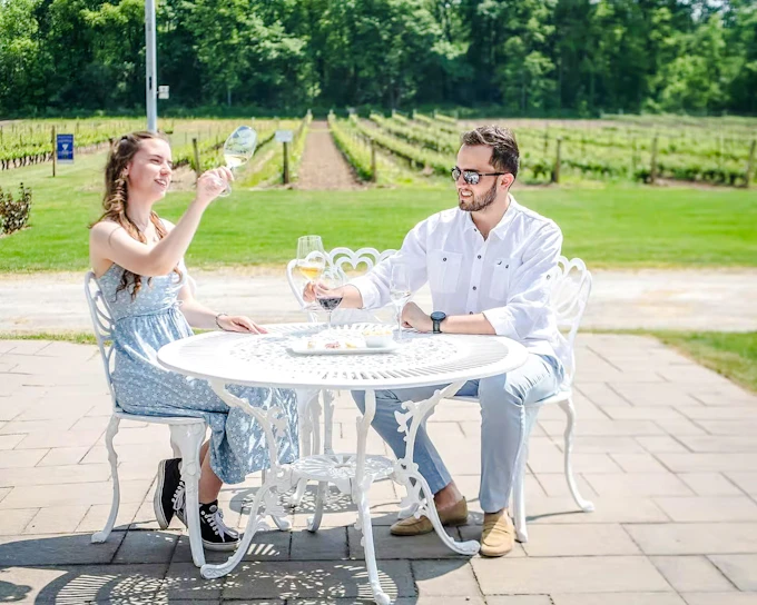 From Toronto: Niagara Wine Tour with Tastings at 3 Wineries and Three-Course Dinner at Pillar & Post