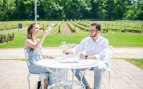 desde toronto: tour de vinos por niágara con degustaciones de vinos en tres bodegas y una cena de tres platos en pillar & post-1