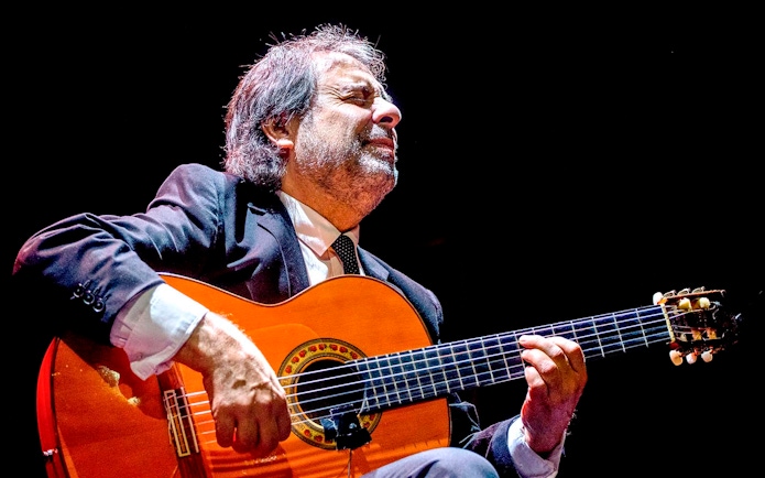 Flamenco guitarist performing at Pasión Espectáculo flamenco.