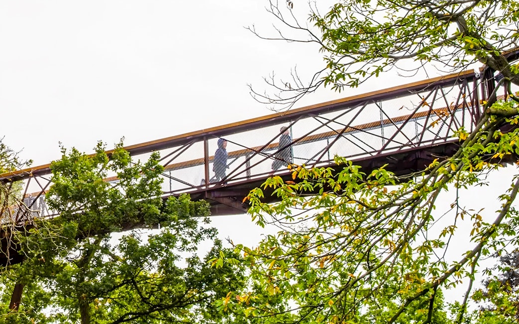 Visitors walking on the treetop walkway at Kew Gardens, London.