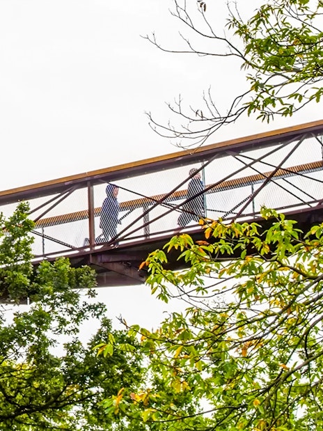 Visitors walking on the treetop walkway at Kew Gardens, London.