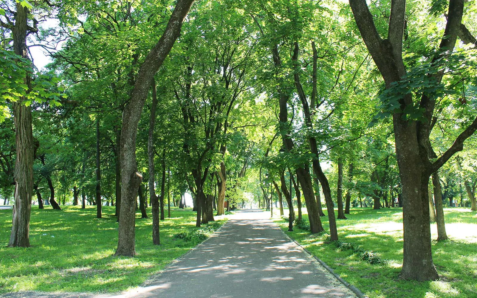 Carrington Park