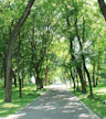Carrington Park