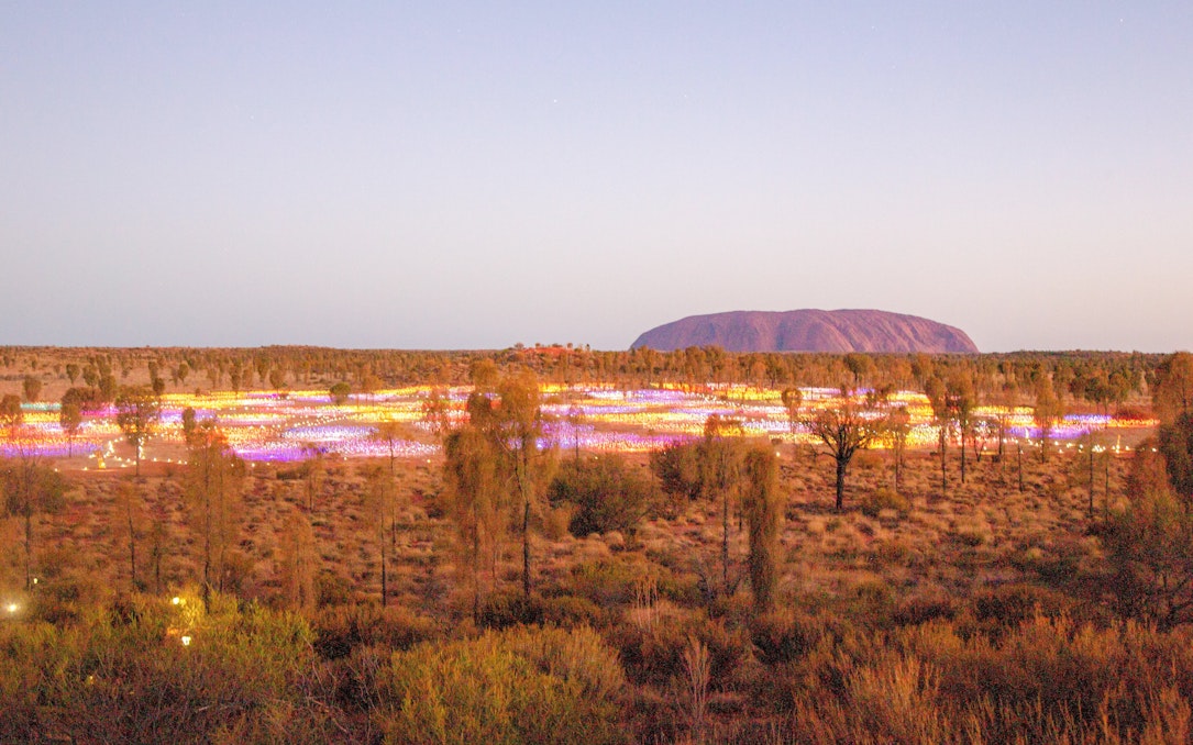 Uluru at sunrise with Field of Light installation in the foreground, Australia.