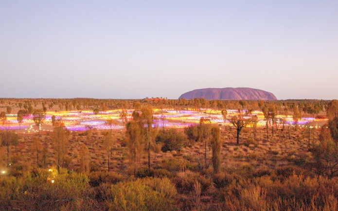 Uluru at sunrise with Field of Light installation in the foreground, Australia.