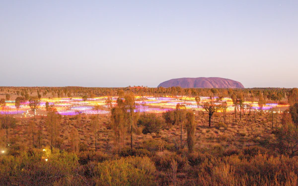 Sunrise Field of Light at Uluru with Beverages