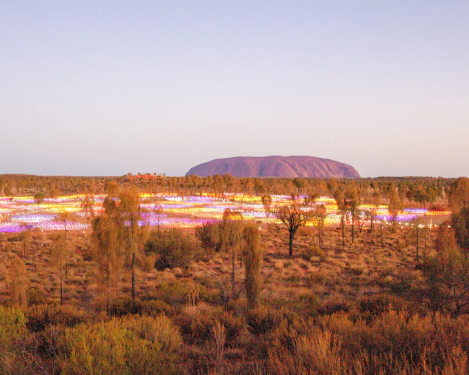 Sunrise Field of Light at Uluru with Beverages