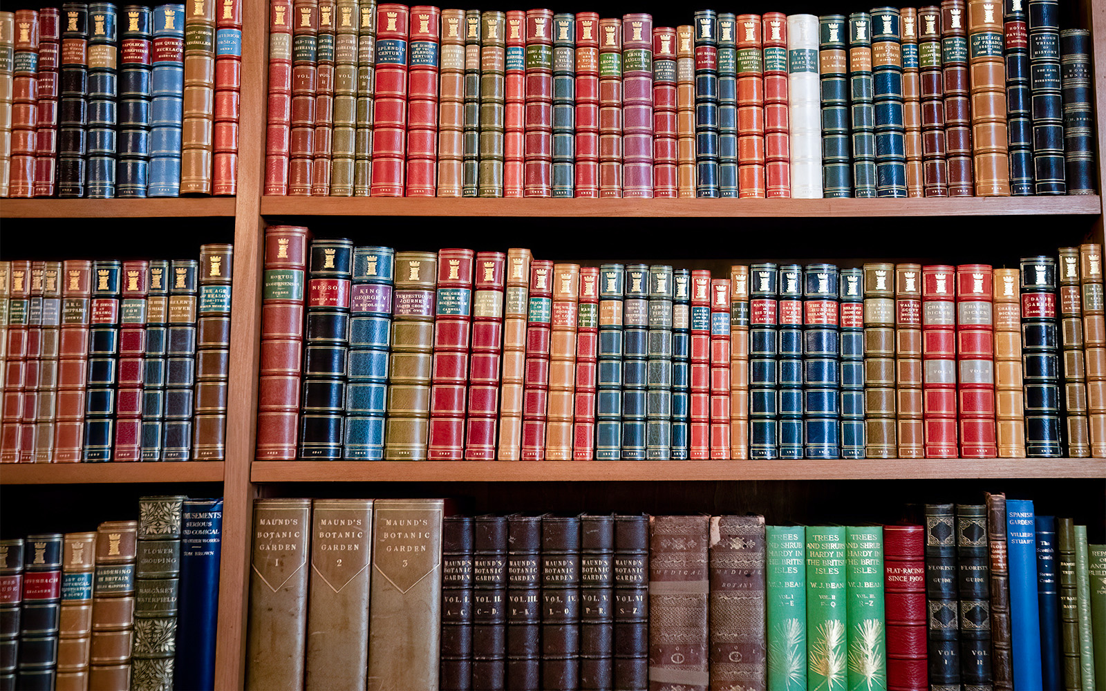 Shopping in London - London books