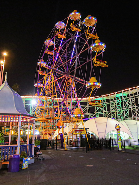 Ferris wheel illuminated at night in Luna Park, Melbourne, with roller coaster in background.