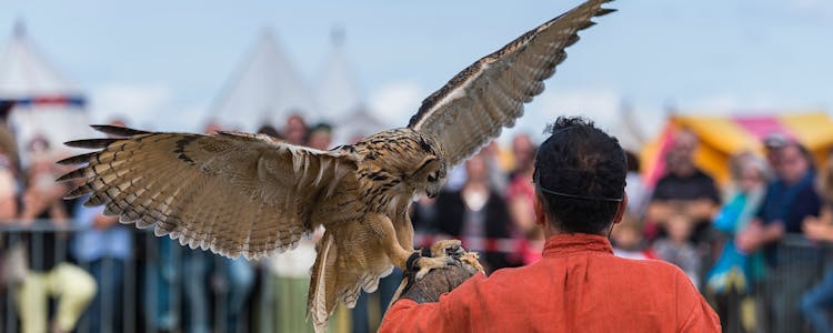 Puy du Fou España