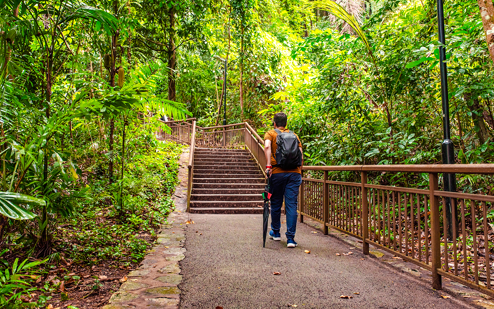 Man walking on a trail surrounded by lush greenery at Mount Faber, Singapore.