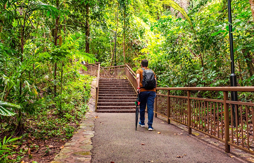 Man walking on a trail surrounded by lush greenery at Mount Faber, Singapore.