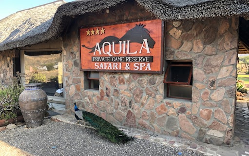 safari en la reserva privada de aquila y almuerzo tipo bufé con recorrido compartido en 4x4-5