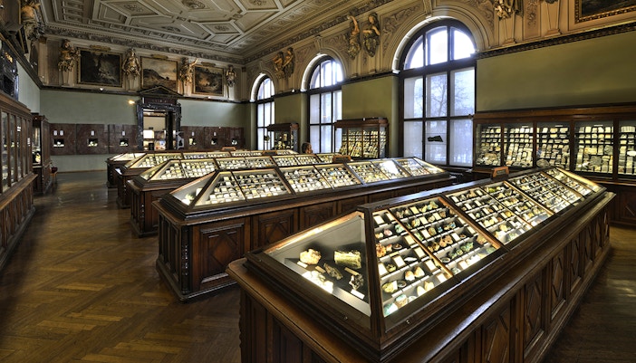 Dinosaur skeleton exhibit inside Natural History Museum Vienna.