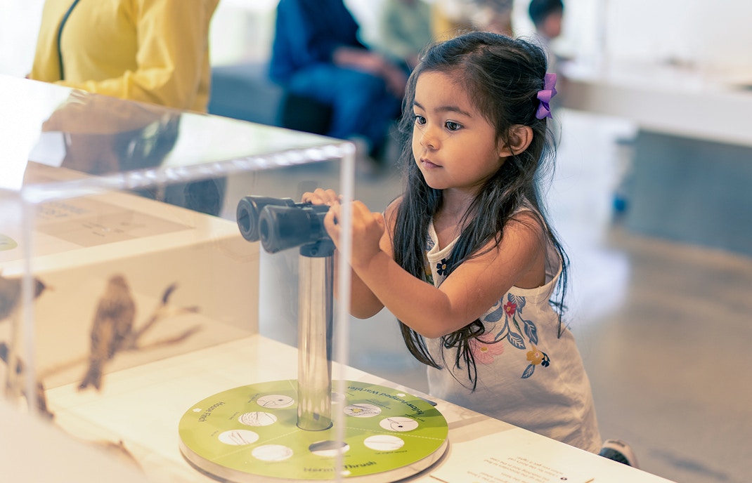 Child exploring interactive exhibit