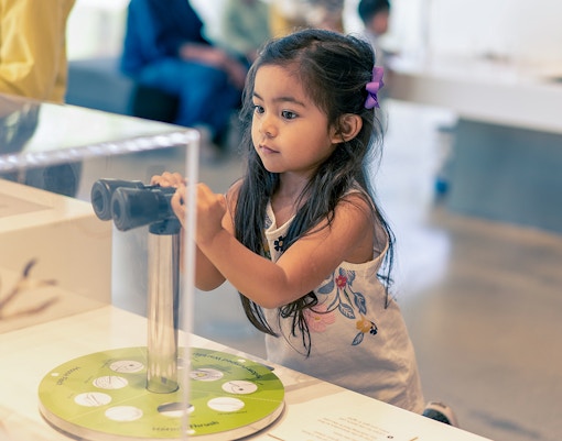 Singapore Travel Guide - Art & Culture in Singapore