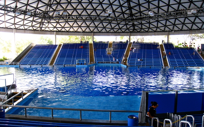 SeaWorld San Antonio amphitheater with empty blue seats and large pool.
