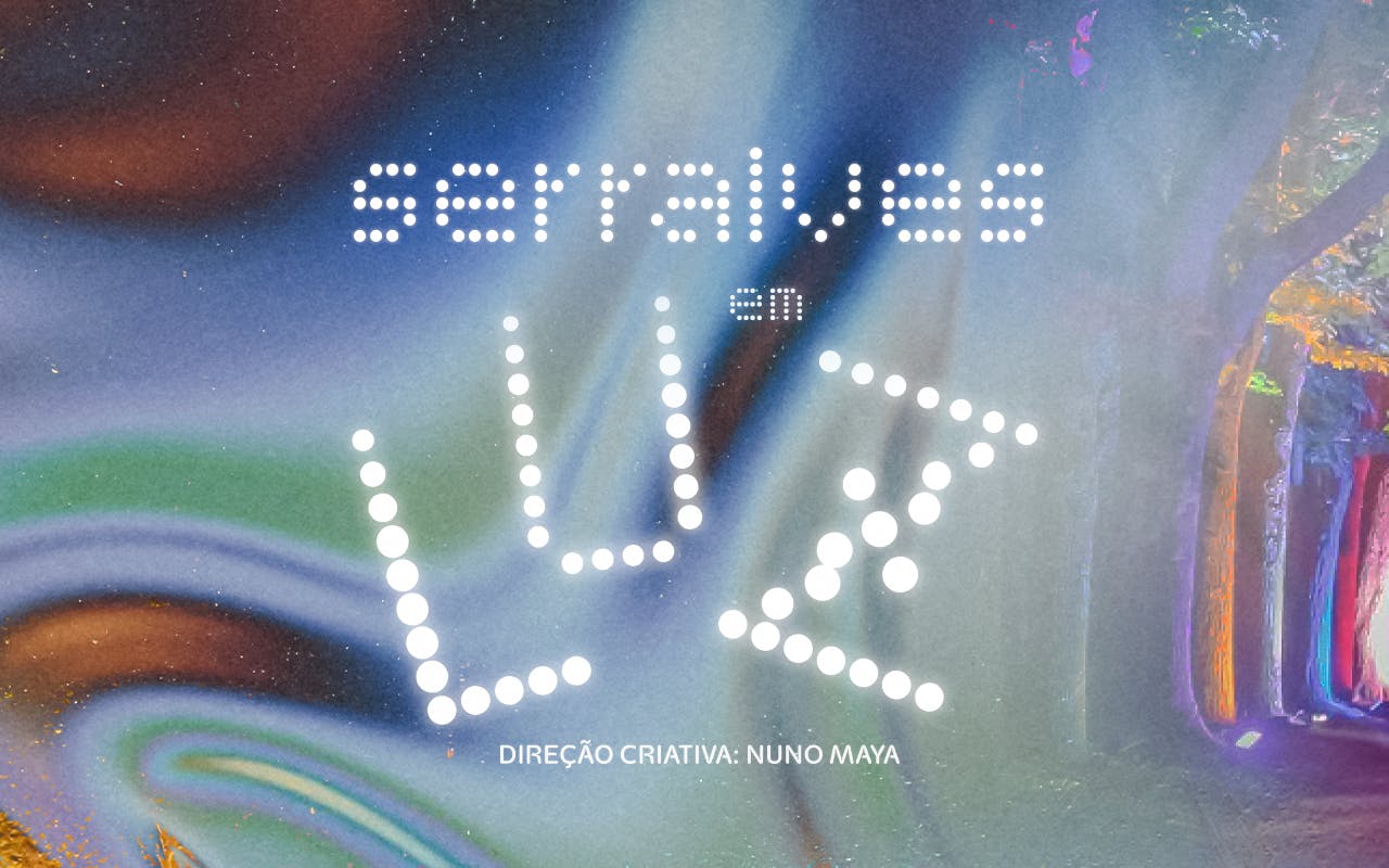 serralves in light 2026-1