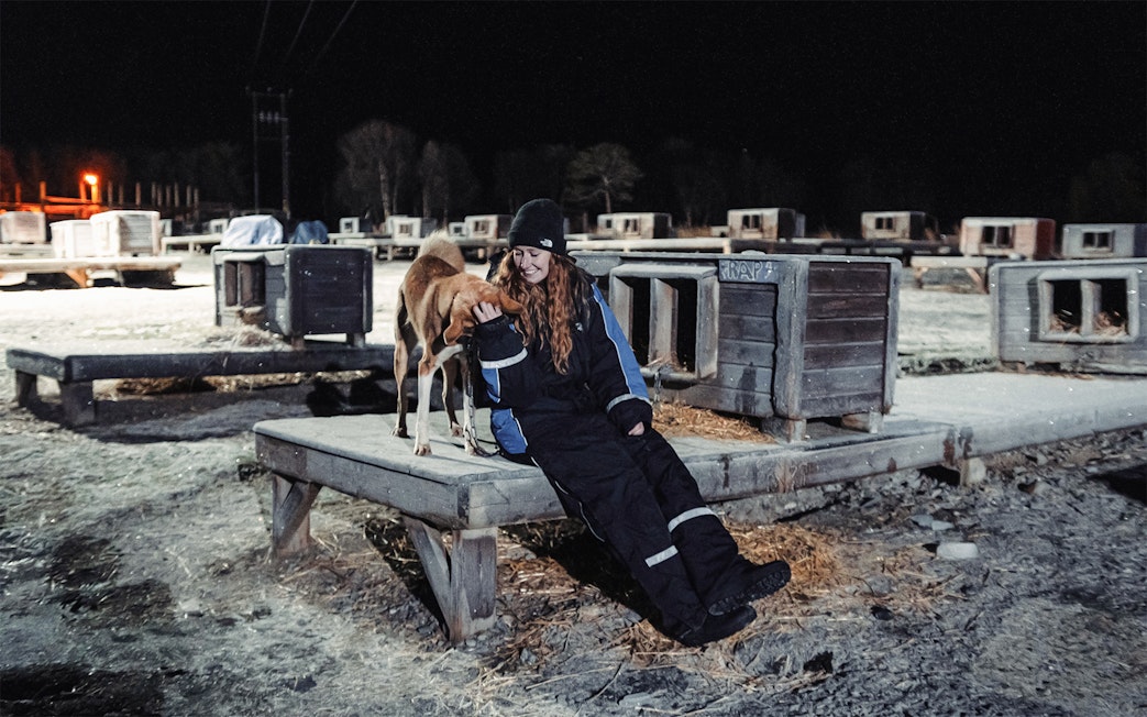 Woman interacting with Alaskan Husky at a dog sledding kennel at night.