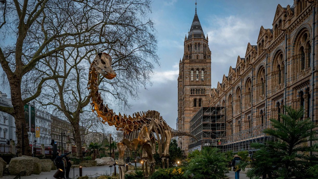 Dinosaur skeleton exhibit outside Natural History Museum, London.