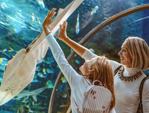 Mother and daughter reaching towards a ray in the Sunshine Aquarium tunnel.