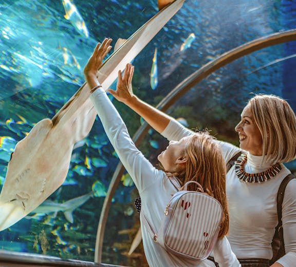 Mother and daughter reaching towards a ray in the Sunshine Aquarium tunnel.