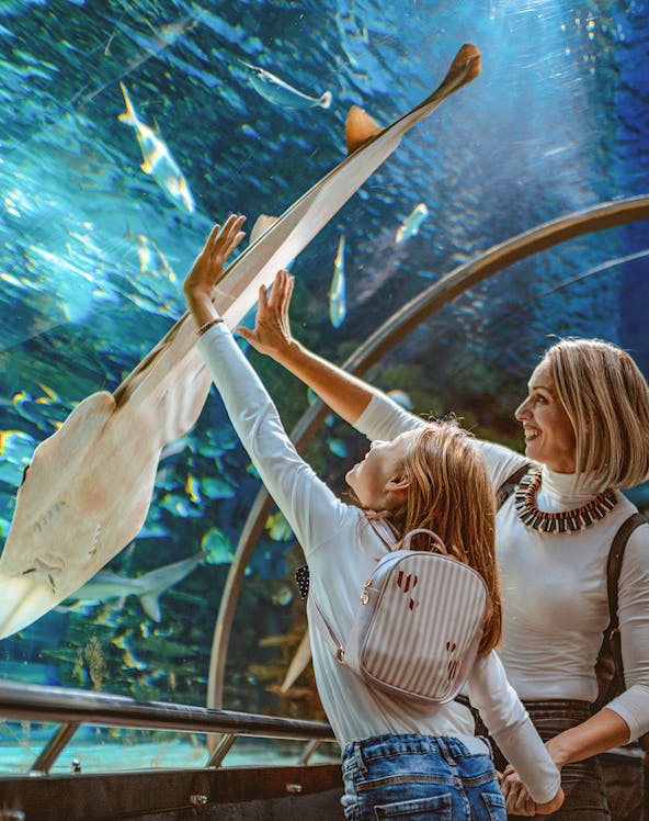 Mother and daughter reaching towards a ray in the Sunshine Aquarium tunnel.